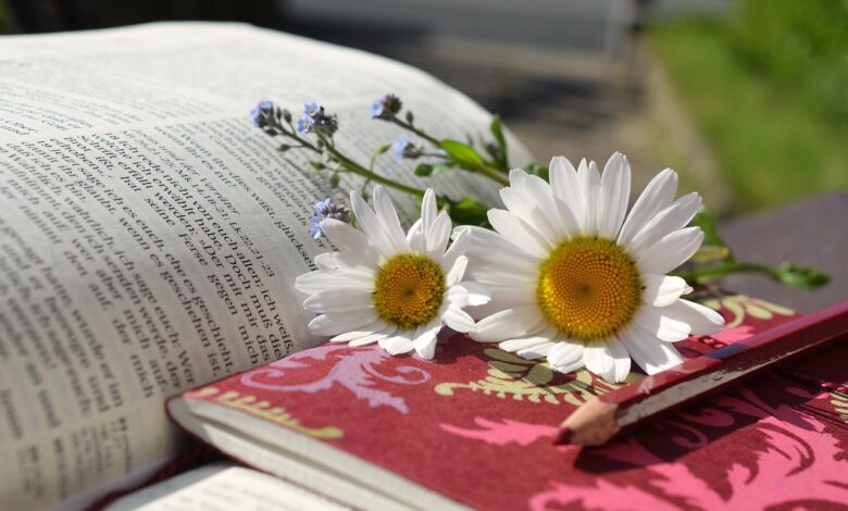 How to Study the Bible Effectively: A Beginner's Guide